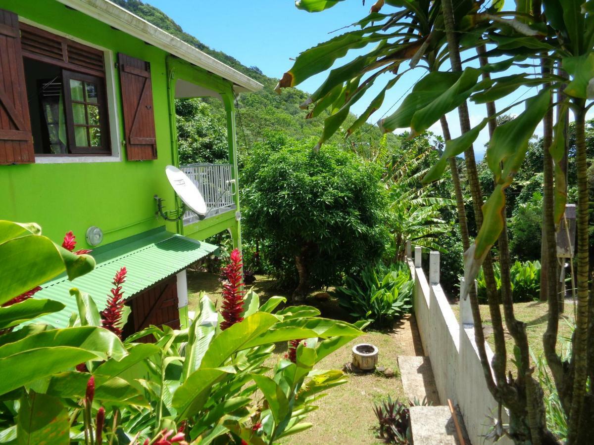 Apartament Jardin Bananier Deshaies Zewnętrze zdjęcie